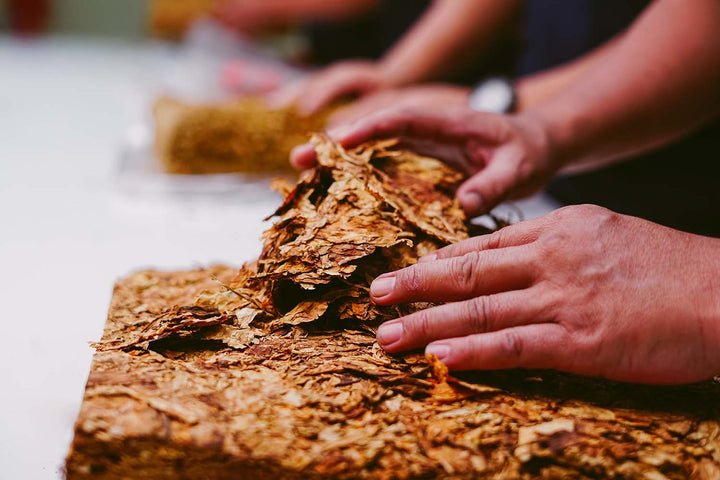 Rolling tobacco leaves by hand